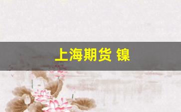 上海期货 镍(上海期货 镍 仓储费)_https://www.nalian8.com_北交所_第1张